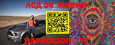 ALPHA-PVP Нальчик
