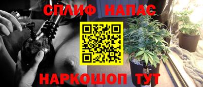 дживик Нарткала