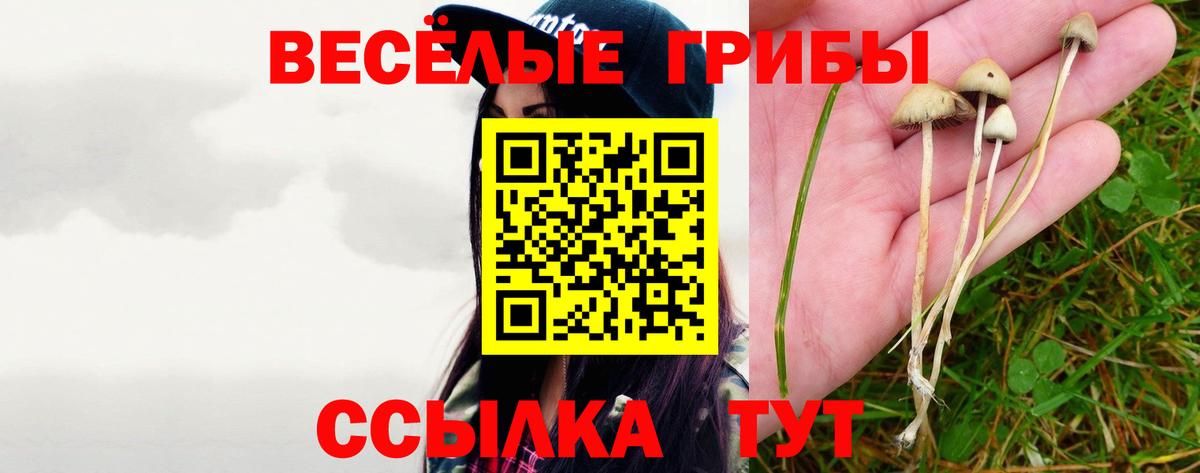 Рузаевка  Псилоцибиновые грибы Cubensis  Вход с VPN  Псилоцибиновые грибы MAGIC MUSHROOMS 